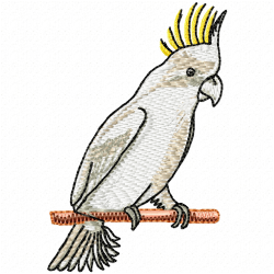 Parrots Embroidery Design 8 Parrots Embroidery Design 8